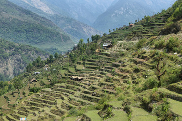 Fields and wooden houses in Nepal