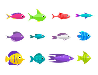 Wall Mural - Cartoon fish collection background