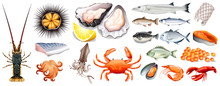 Set Of Different Kinds Of Seafood