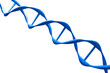 Blue DNA structure on white, 3d ullustration.