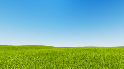 Landscape green grass blue sky 3d rendering