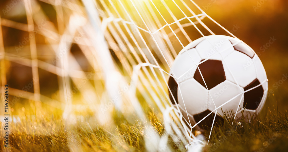 Soccer ball in goal - obrazy, fototapety, plakaty 
