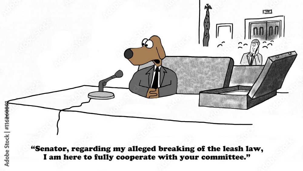 Political cartoon about a dog testifying before a senate committee ...