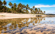 © Fernando Ghelfi - Praia do Forte ( Carneiros - Brasil)