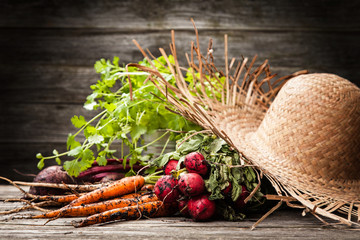 Fresh organic vegetables