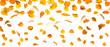 Autumn falling yellow leaves, on white background.