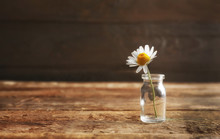 Healing Chamomile Flower In Small Glass Bottle On Brown Wooden Background