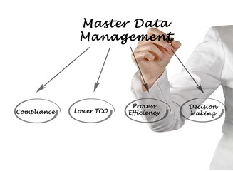 Sticker - Diagram of Master Data Management