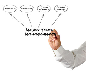 Canvas Print - Diagram of Master Data Management