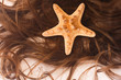 Sea Star On Child Hairs On White Paper Background Close Up.