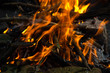 © dashtik - Bonfire in the forest.
