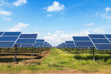 Wall Mural - solar panel renewable energy from natural.