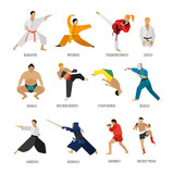 Vector set of martial arts people silhouette isolated on white background. Sport fighters positions.