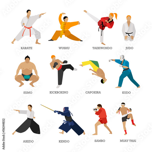 Fotografia Vector set of martial arts people silhouette isolated on white background