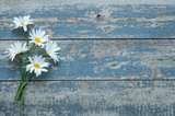 Daisy flowers on wooden background