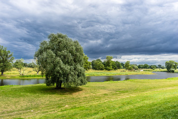 Wall Mural - Cloudy sky, lonely tree and the river panorama