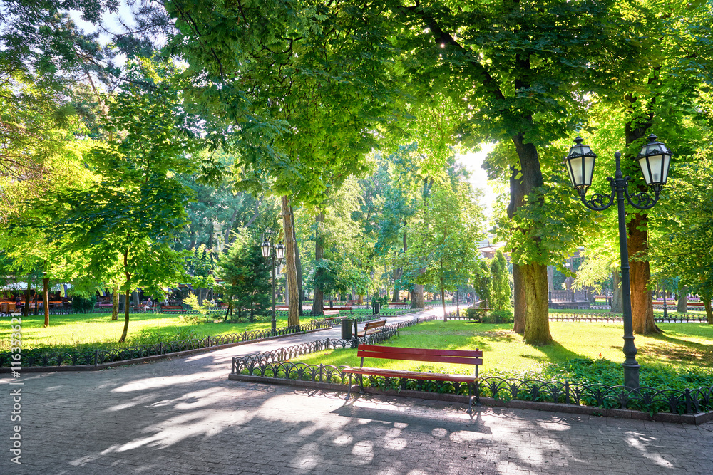 morning in city park, bright sunlight and shadows, summer season, beautiful landscape - obrazy, fototapety, plakaty 