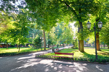 Morning In City Park, Bright Sunlight And Shadows, Summer Season, Beautiful Landscape