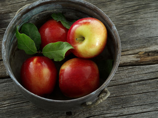 Wall Mural - close up view of nice fresh apples on color background