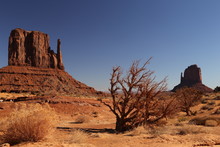 The Mittens, Monument Valley, From The Valley Floor