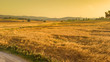 © kokandkok - Landschap Toscane Italië