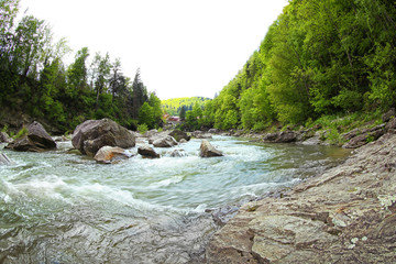 Poster - Magnificent mountain river, close up