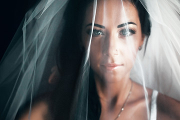 stunning bride with black hair looks hidden under a veil