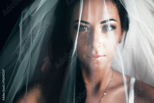 Cuadros en Lienzo Stunning bride with black hair looks hidden under a veil