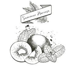 Wall Mural - Vector set of summer harvest. Decorated with banner, fern leaves and blots. Kiwiw fruit and mint leaves.