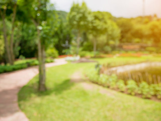 Walkway in the flowers garden blur background