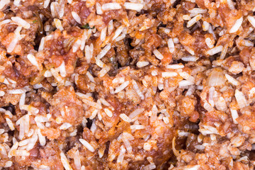 Macro closeup minced meat with rice