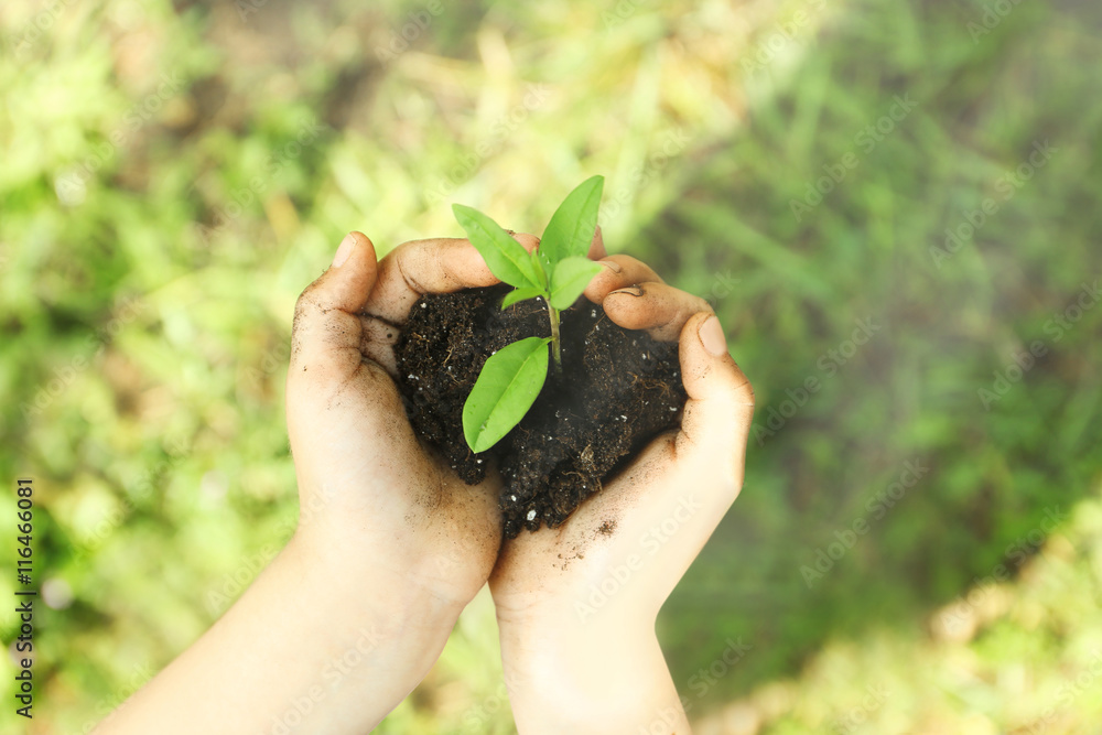 Child holding soil and plant in hands outdoor