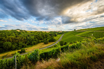 Canvas Print - Bad Kreuznach