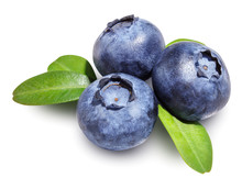 Blueberries Isolated
