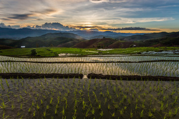 Sunset at terrace rice fields with water reflection and beautifu