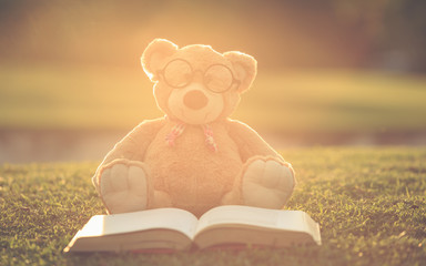 Wall Mural - Lovely brown teddy bear wear glasses with book sitting on grass