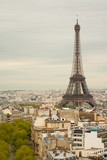 Fototapeta Paryż - The Eiffel Tower, Paris, France.