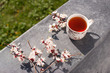 Чай в окружении цветущих веток вишни. Напиток стоит на подоконнике на фоне  травы.