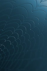 Wall Mural - spider web