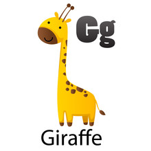 Alphabet Letter G-Giraffe