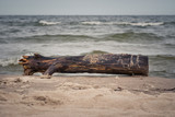 Fototapeta Fototapety z morzem do Twojej sypialni - Na bałtyckiej plaży