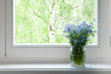 Fototapeta Tulipany - Bouquet of flowers forget-me-nots on the window