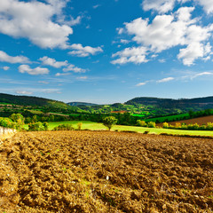 Wall Mural - Plowed Fields