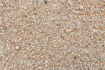 Wall Mural - buckwheat cereal texture