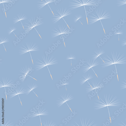 Board z aluminiowym obramowaniem Wzór nasion dandelions