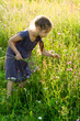 © zabavna - Little girl picking wild flowers on the meadow