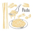 Set pasta - farfalle, conchiglie, penne, fusilli and spaghetti on fork.