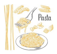 Set Pasta - Farfalle, Conchiglie, Penne, Fusilli And Spaghetti On Fork.