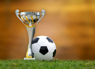 Wall Mural - Golden trophy and soccer ball in grass