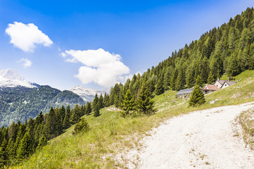 Mountain landscape with small farm (malga , Alpine hut.)for moun